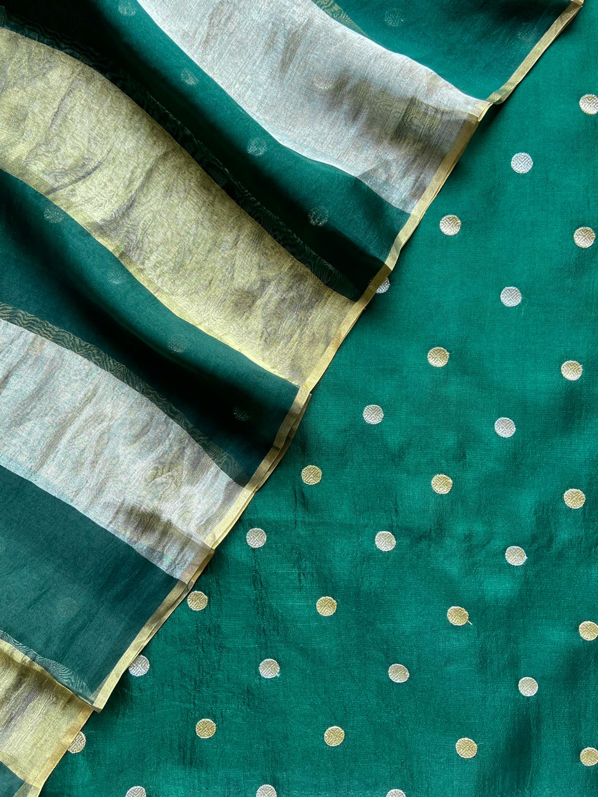 Green Pure Organza Silk Embroidery Suit